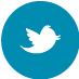 icon-linkedin